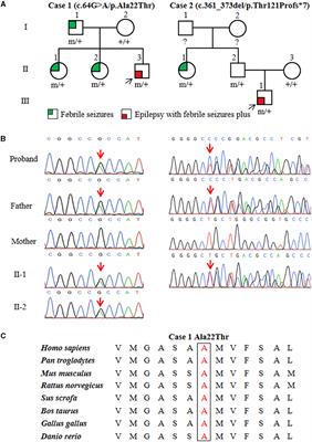 Corrigendum: ATP6V0C is associated with febrile seizures and epilepsy with febrile seizures plus